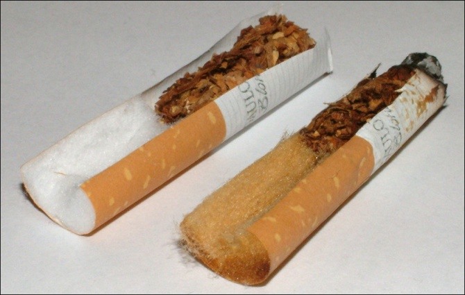 environmental effects of cigarettes